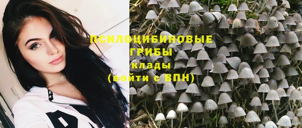MDMA Premium VHQ Бронницы