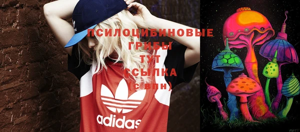 гашик Бугульма