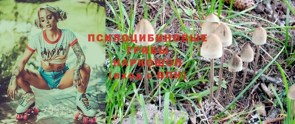 ALPHA PVP Бородино